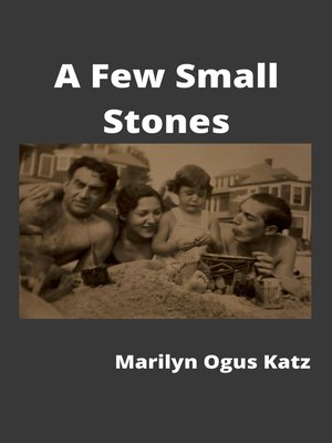 cover image of A Few Small Stones